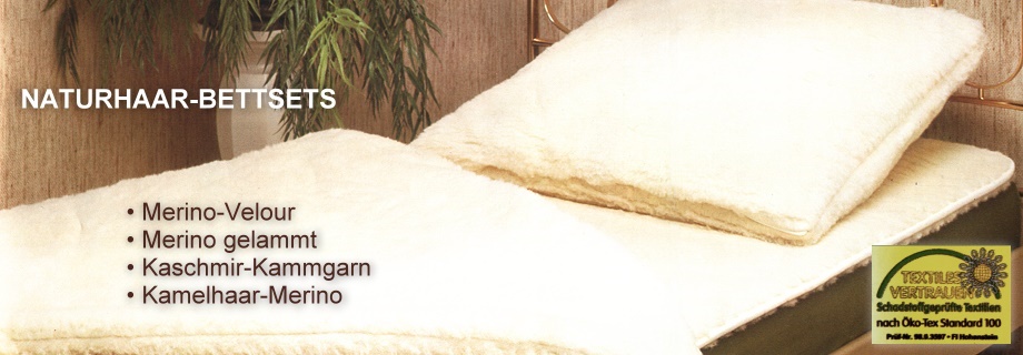 Banner 2